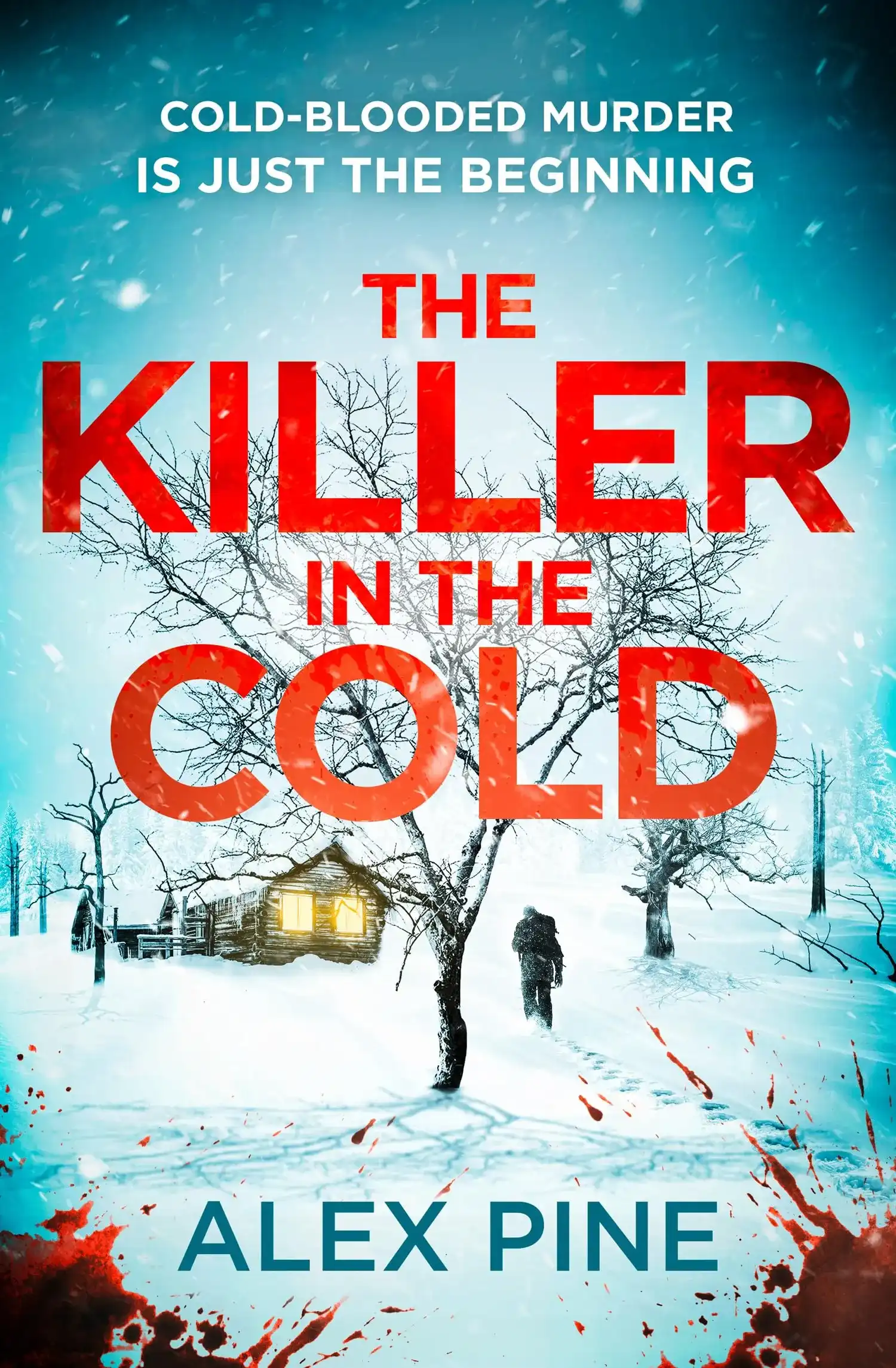 The Killer in the Cold by Alex Pine (Paperback)