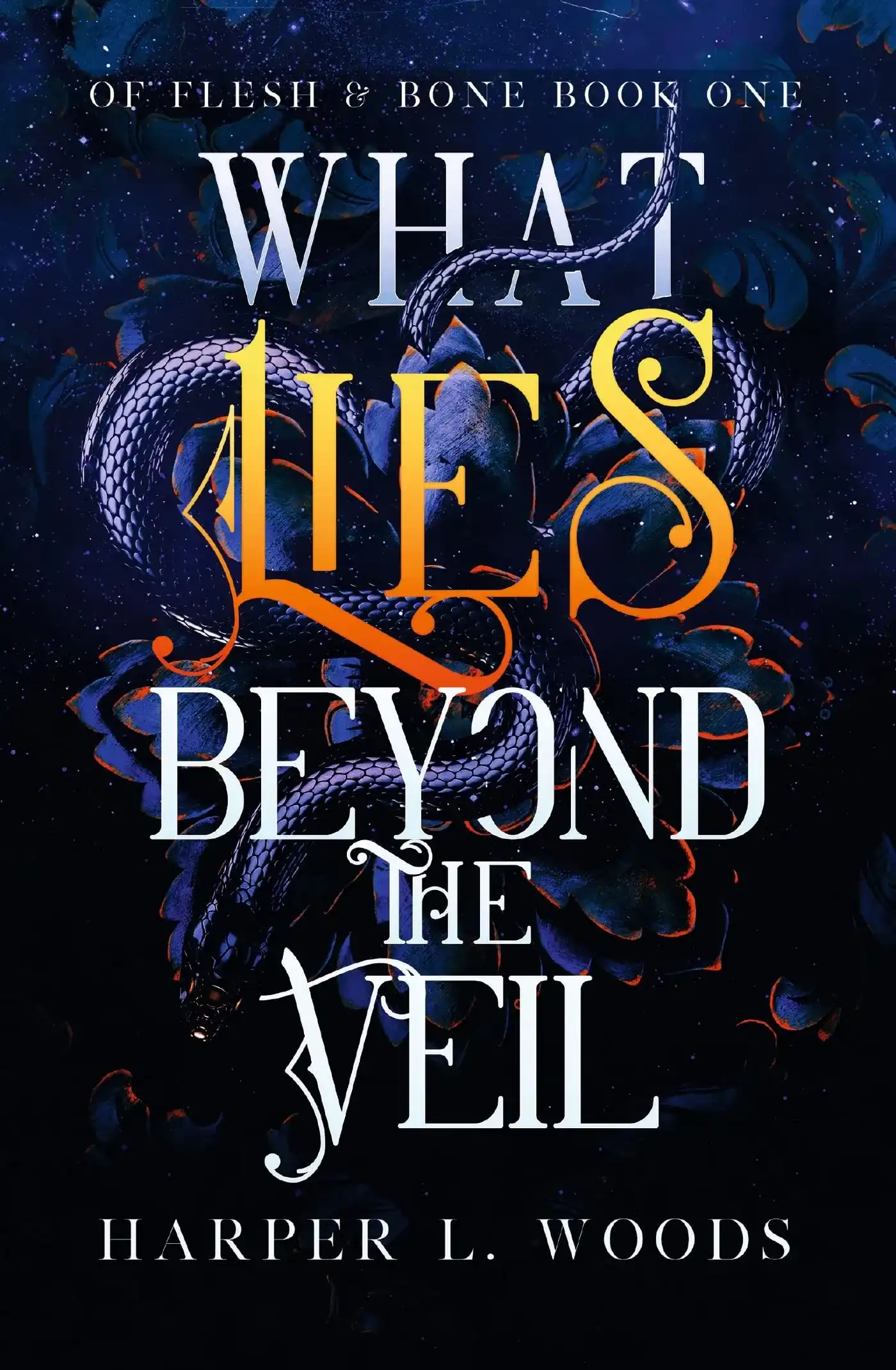 What Lies Beyond the Veil by Harper L. Woods (Paperback)