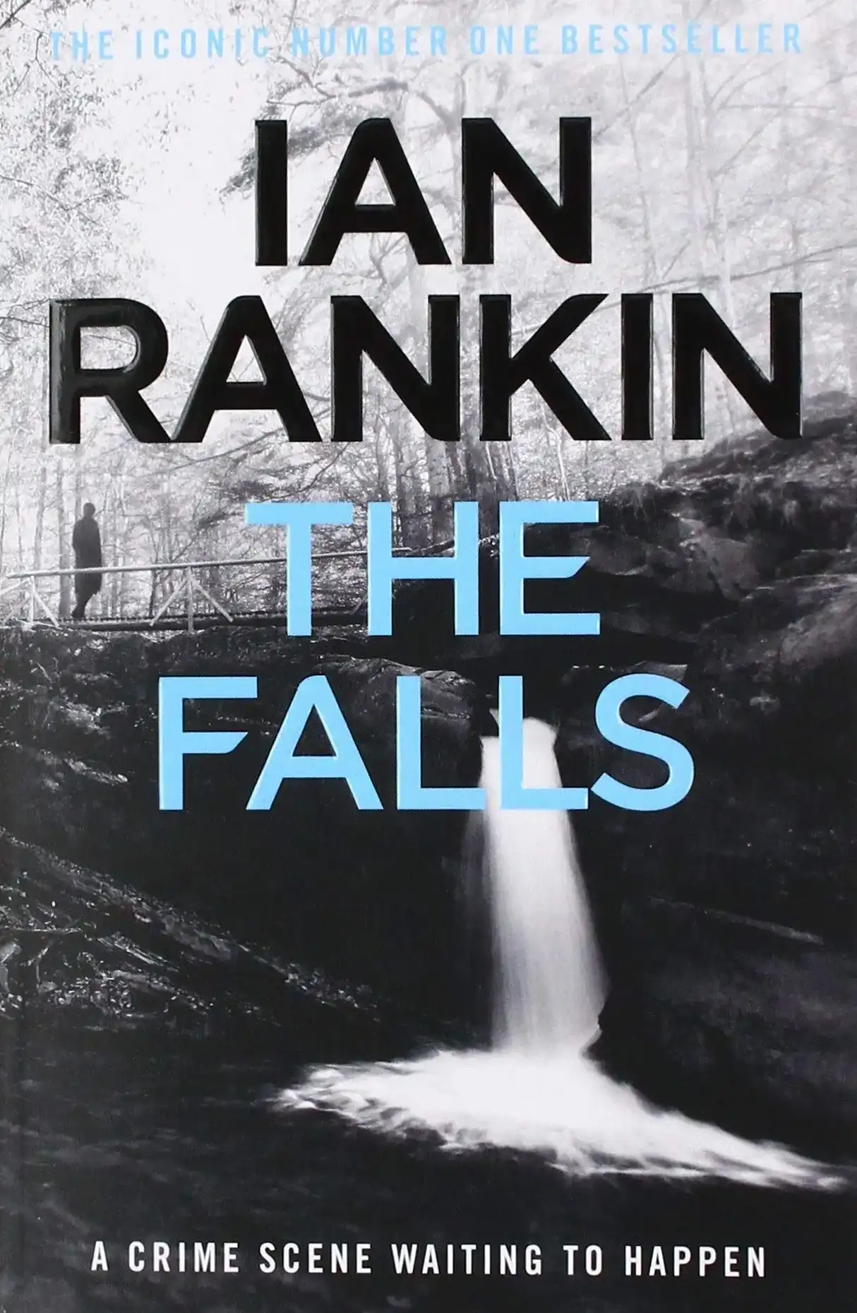The Falls by Ian Rankin (Paperback)
