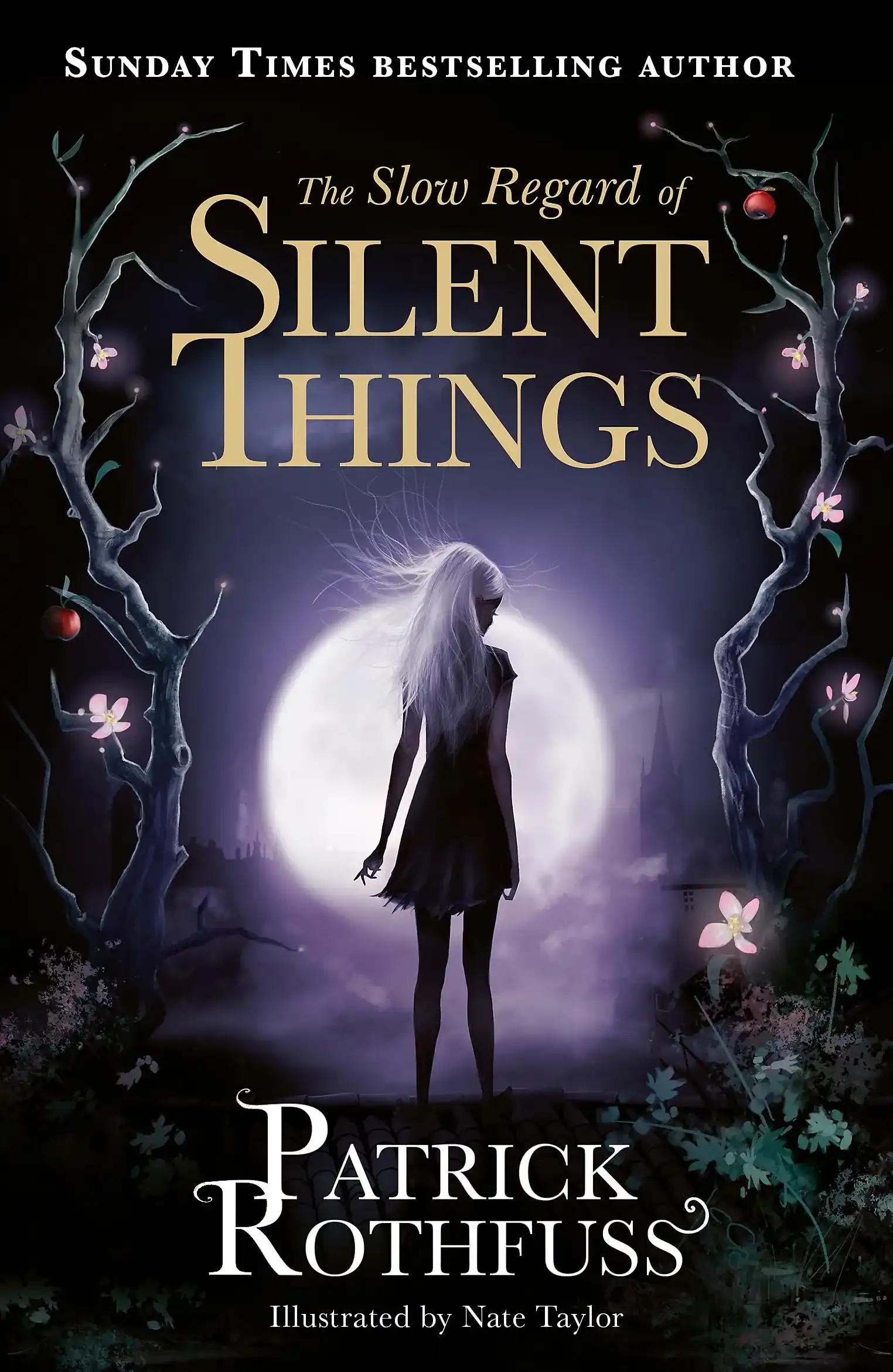 A Kingkiller Chronicle Novella: The Slow Regard of Silent Things by Patrick Rothfuss