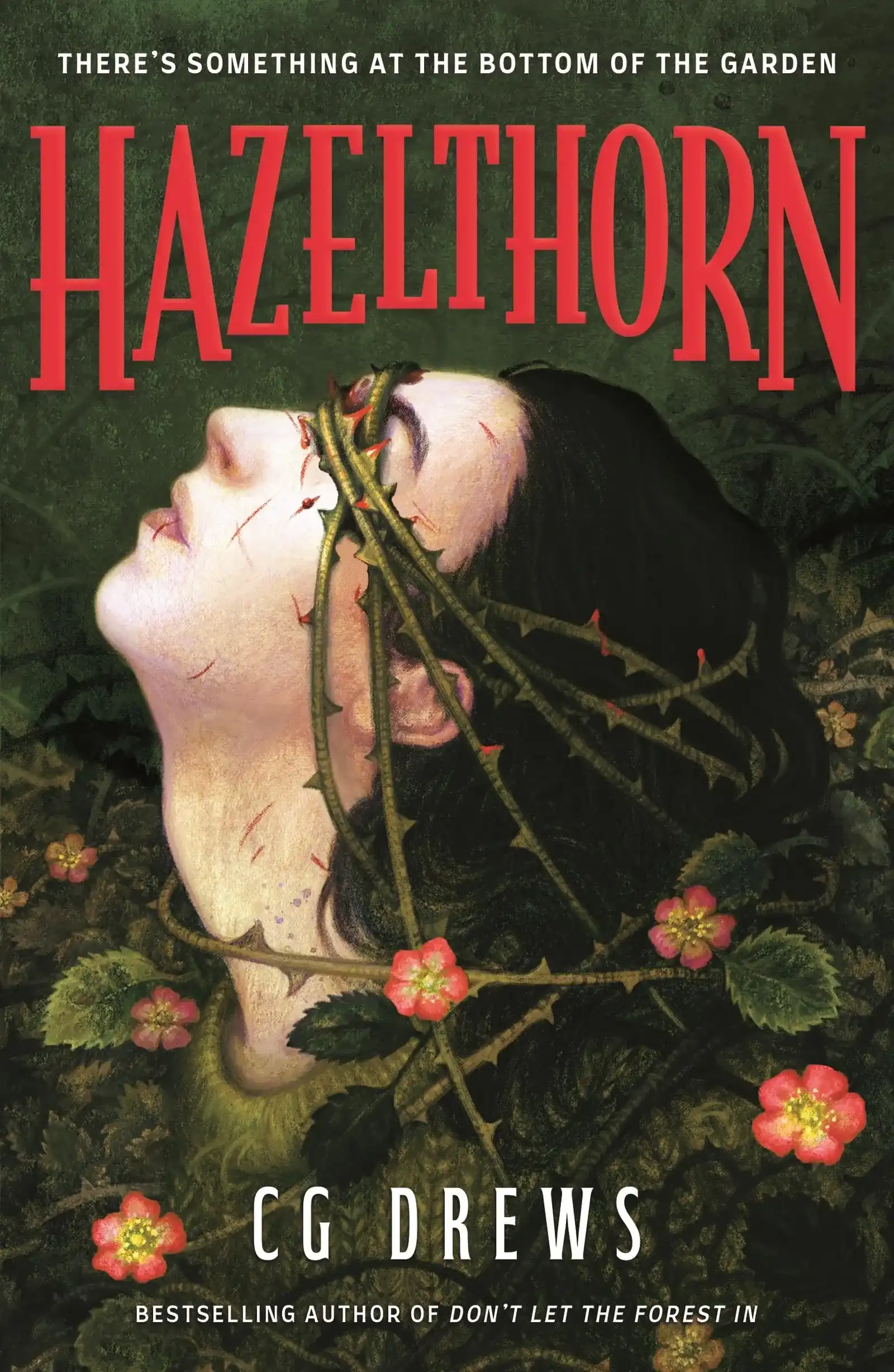 Hazelthorn by C.G. Drews (Paperback)