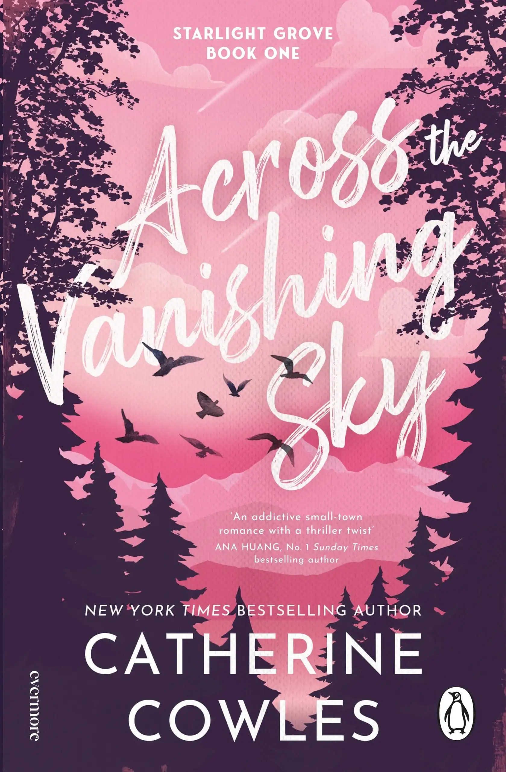 Across the Vanishing Sky by Catherine Cowles (Paperback)