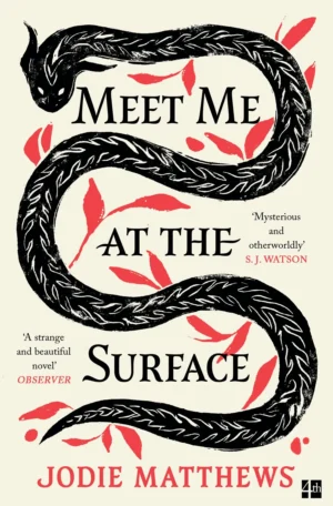 Meet Me at the Surface by Jodie Matthews (Paperback)