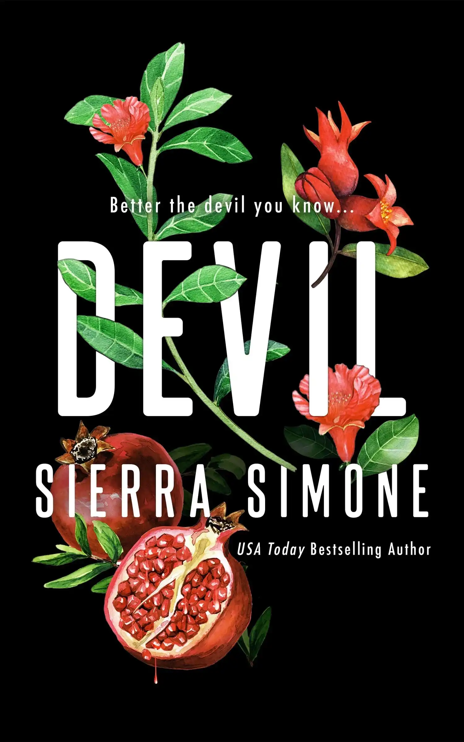Devil by Sierra Simone (Paperback)