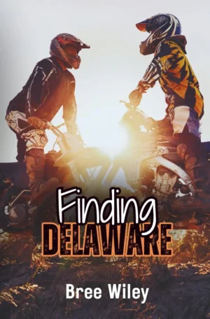 Finding Delaware by Bree Wiley (Paperback)