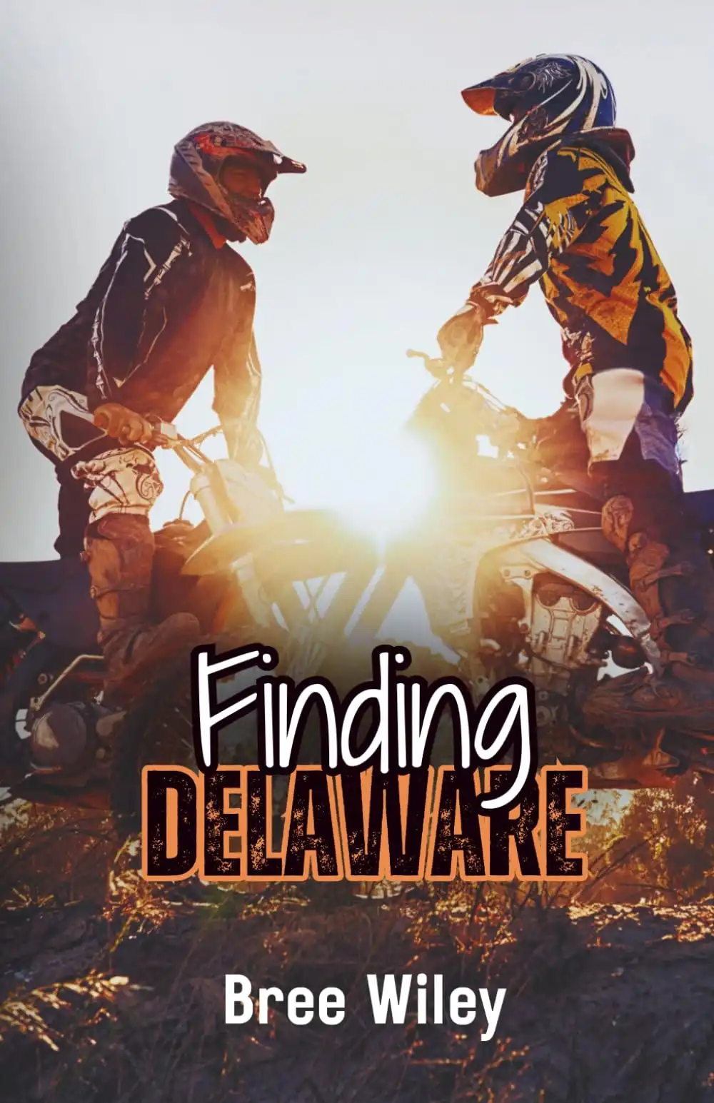 Finding Delaware by Bree Wiley (Paperback)