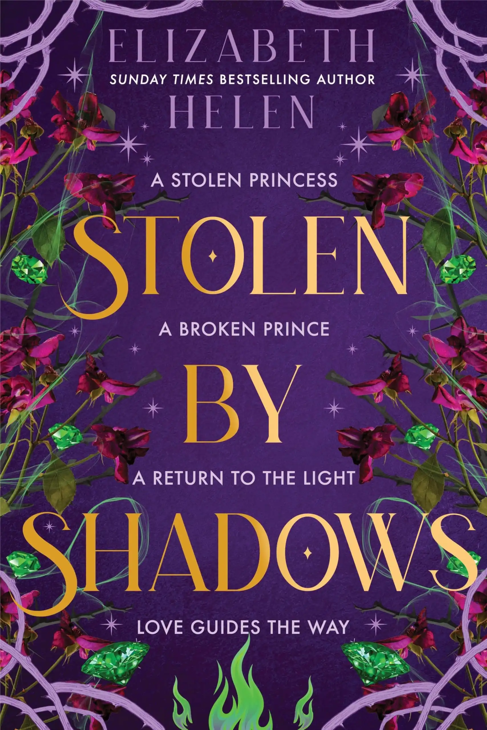 Stolen by Shadows by Elizabeth Helen (Hardback)