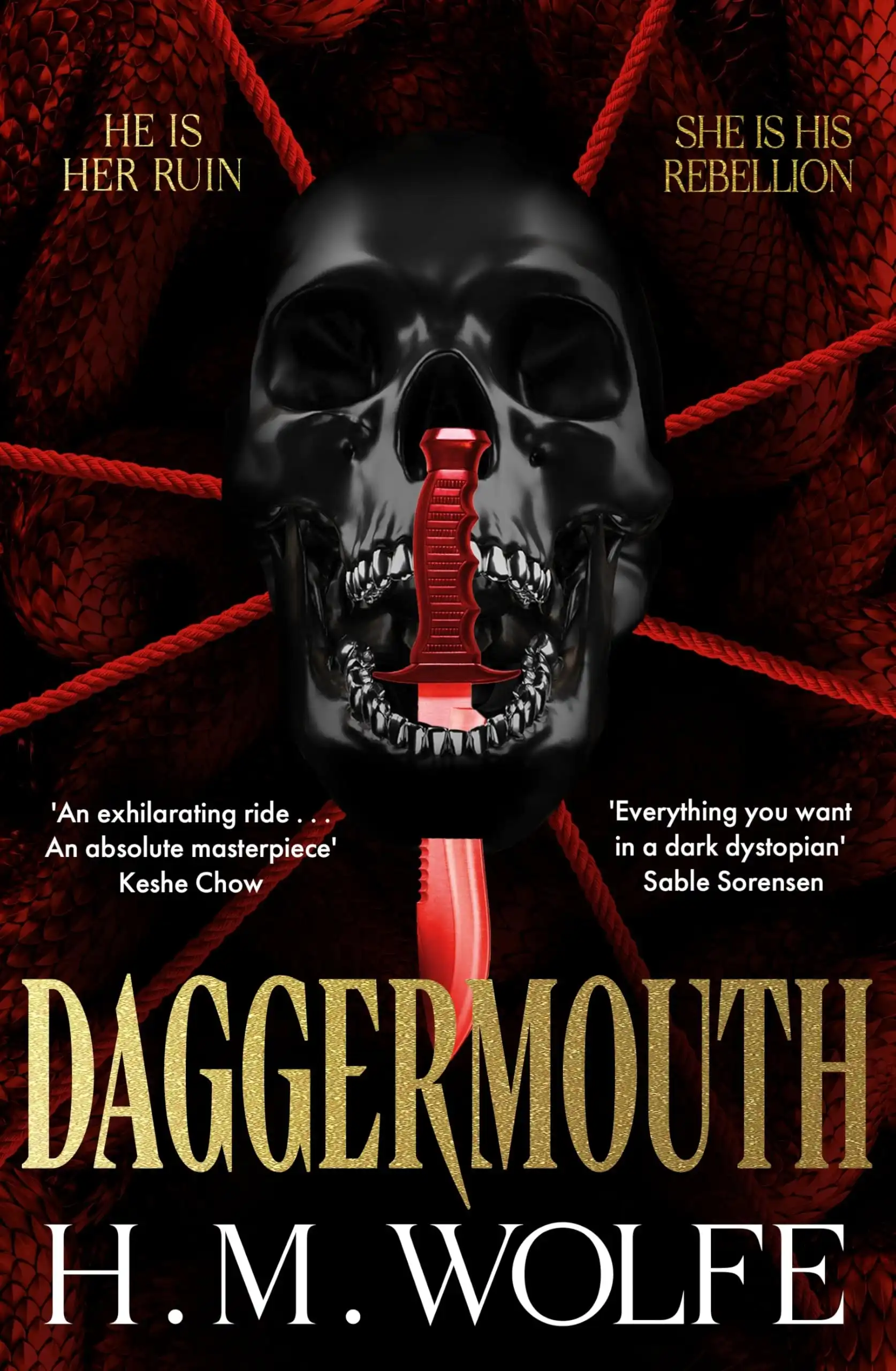 Daggermouth by H. M. Wolfe (Hardback)
