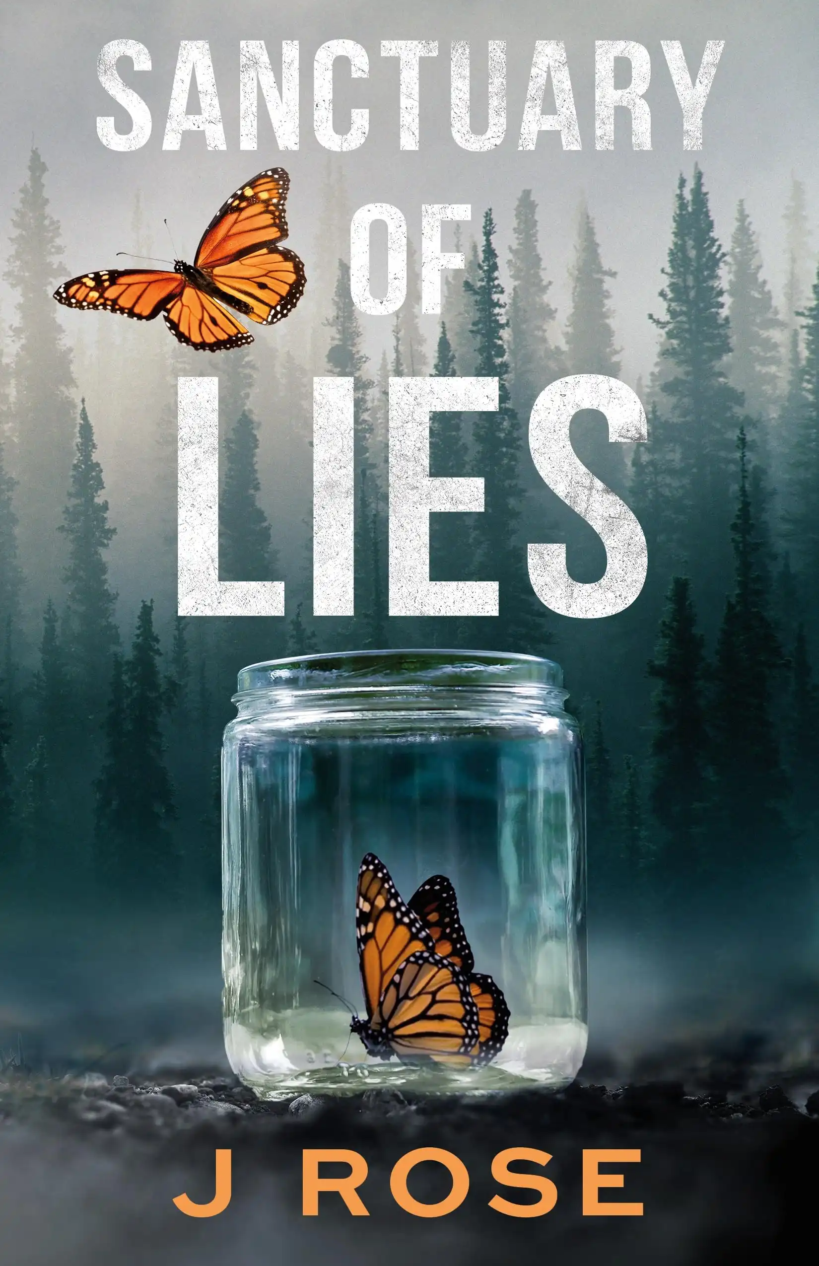 Sanctuary of Lies by J Rose (Paperback)