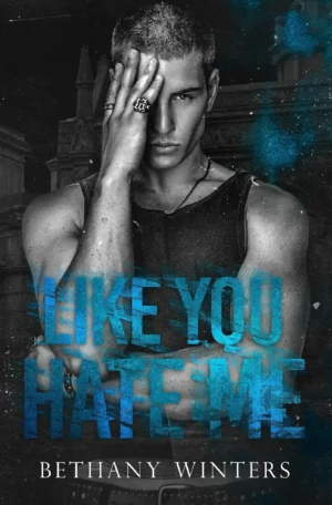 Like You Hate Me by Bethany Winters (Paperback)