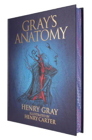 Gray's Anatomy by Henry Gray (Hardback)