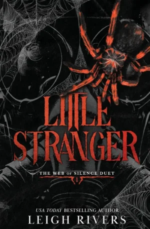 Little Stranger by Leigh Rivers (Paperback)