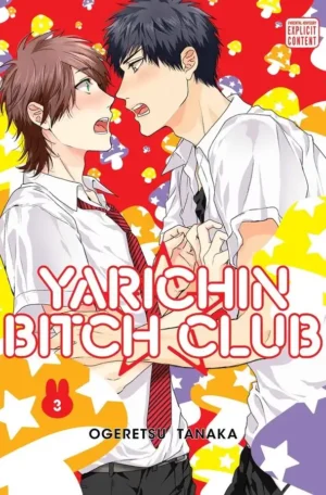 Yarichin Bitch Club: Volume 3 by Ogeretsu Tanaka (Paperback)