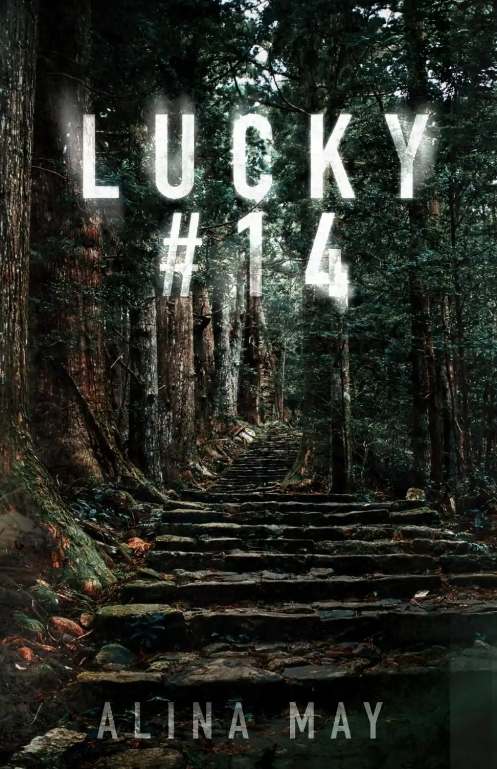 Lucky #14 by Alina May (Paperback)