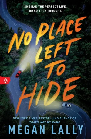 No Place Left to Hide by Megan Lally (Paperback)