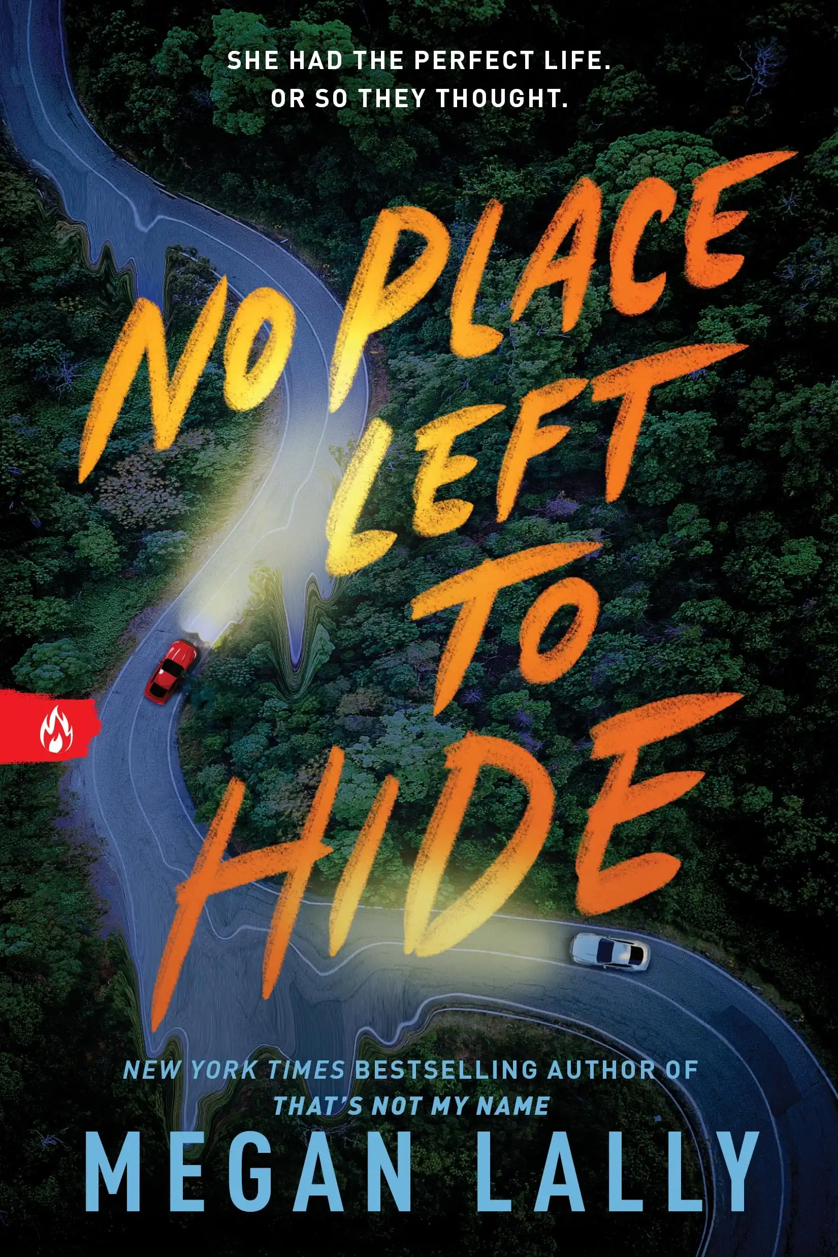 No Place Left to Hide by Megan Lally (Paperback)