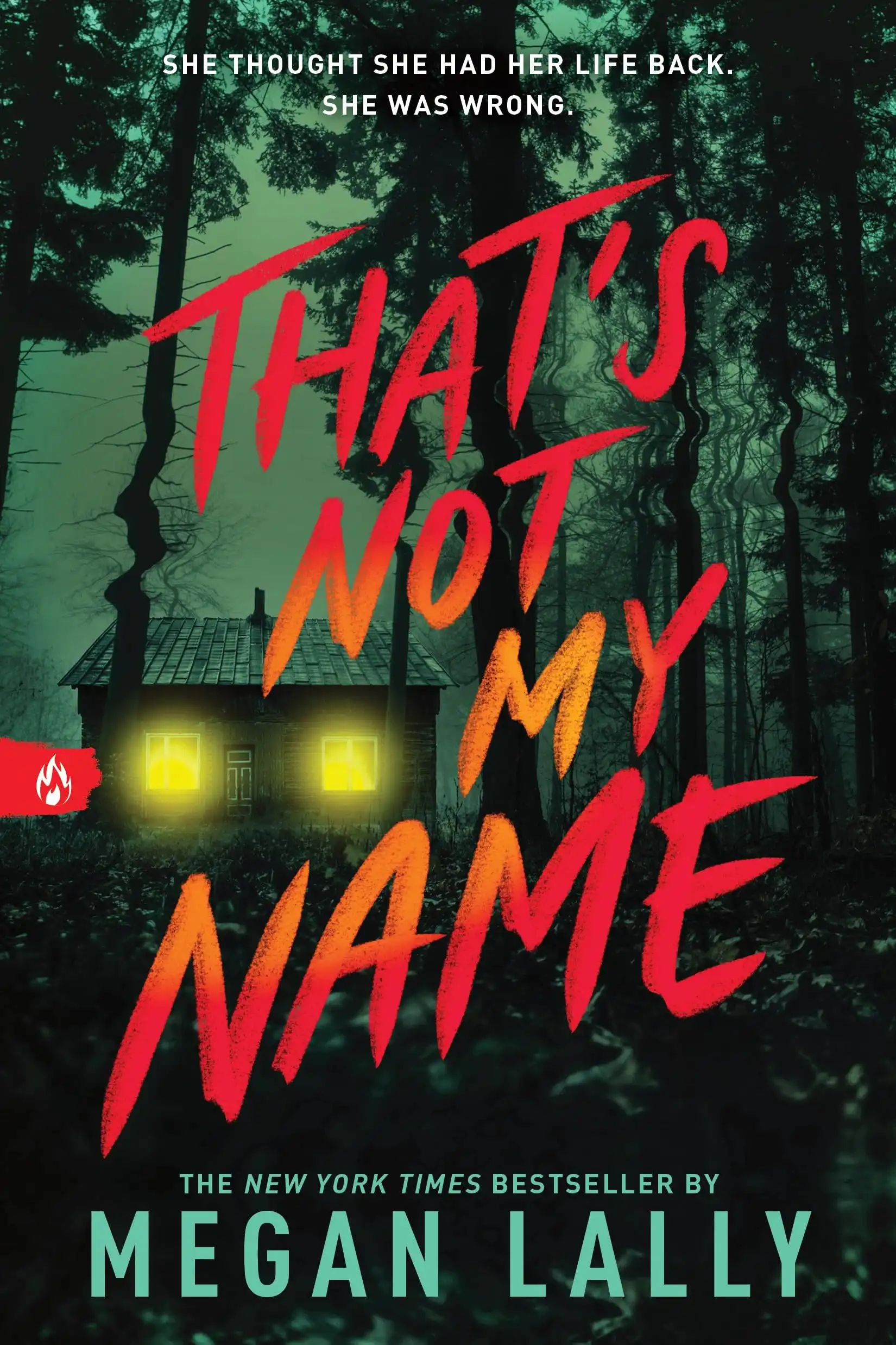 That's Not My Name by Megan Lally (Paperback)