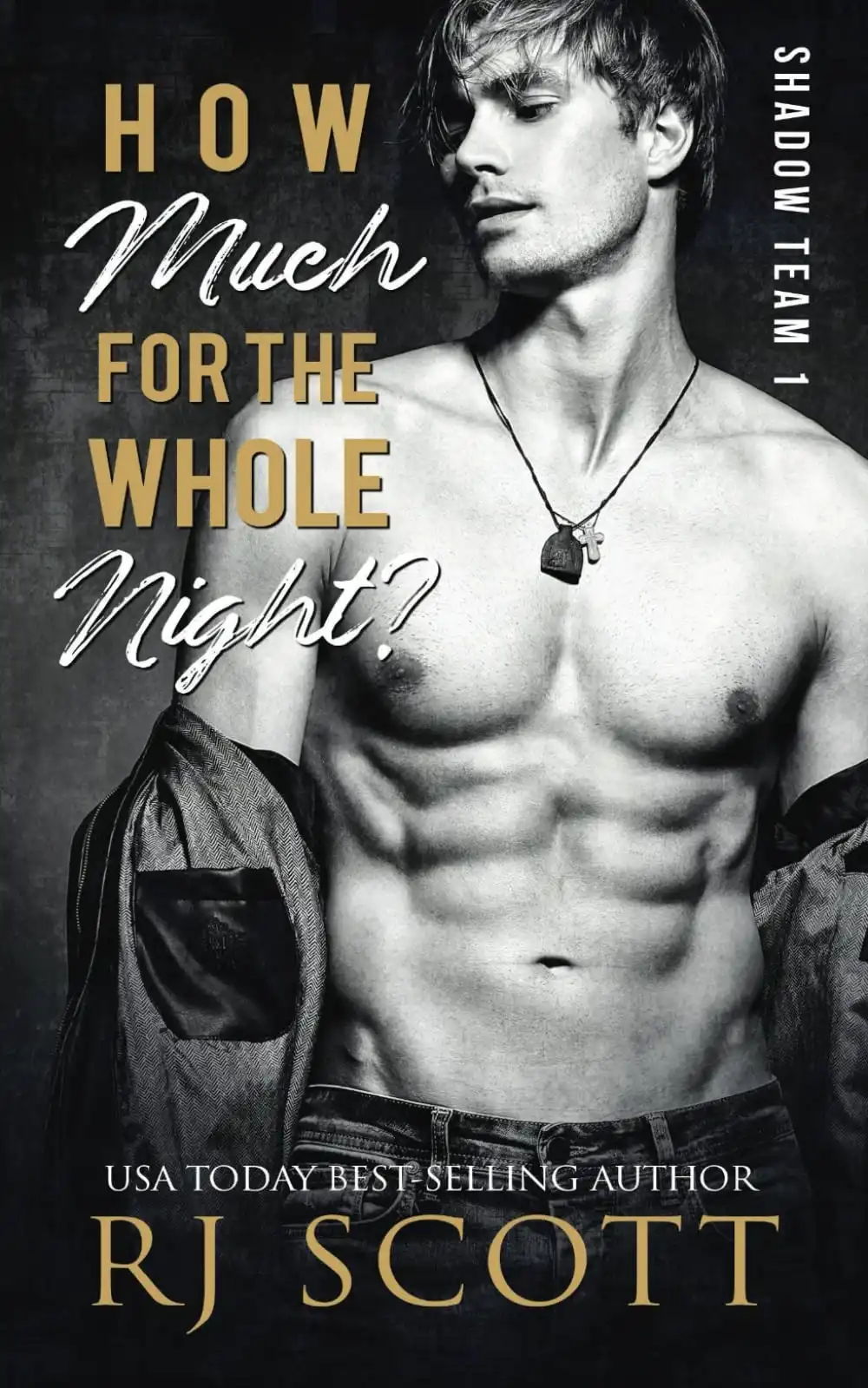 How Much For The Whole Night? by RJ Scott (Paperback)