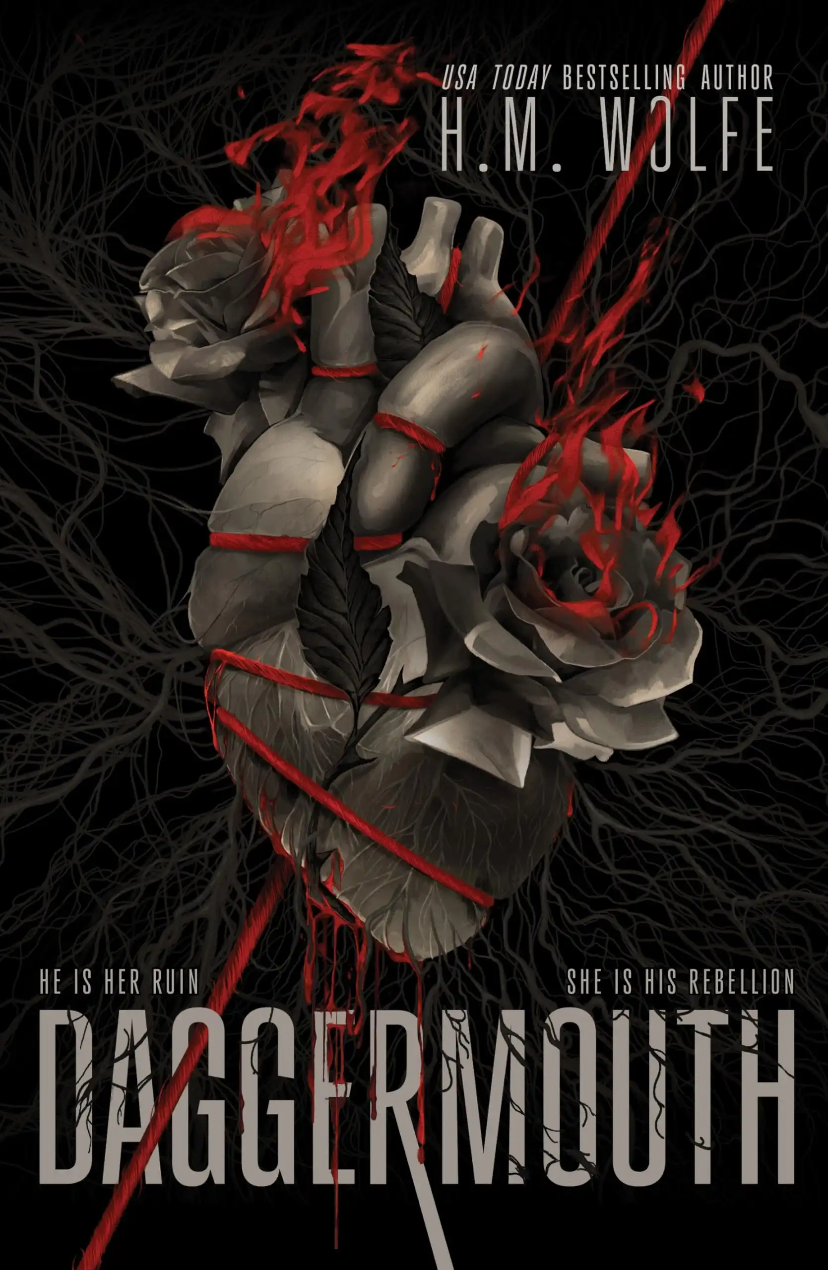 Daggermouth: Deluxe Sprayed Edge Edition US Import by H.M. Wolfe (Hardback)