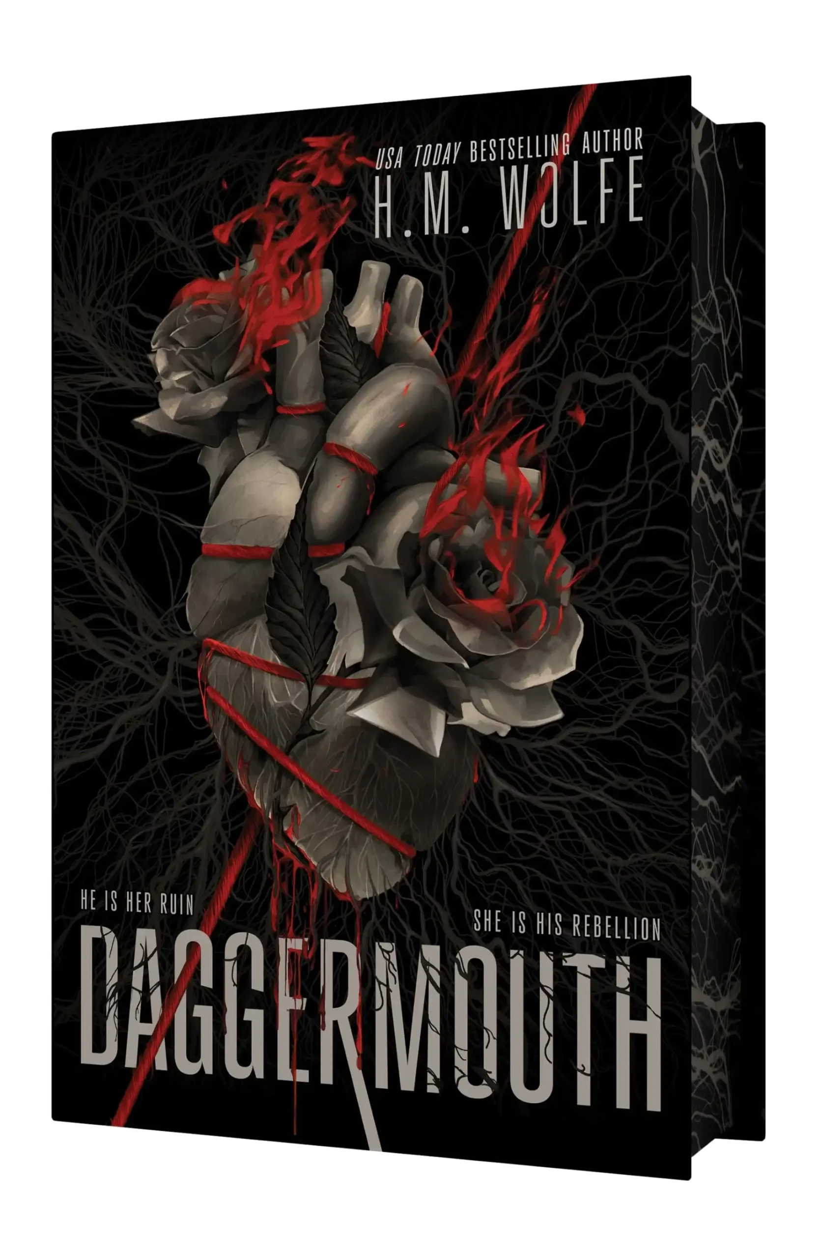 Daggermouth: Deluxe Sprayed Edge Edition US Import by H.M. Wolfe (Hardback)