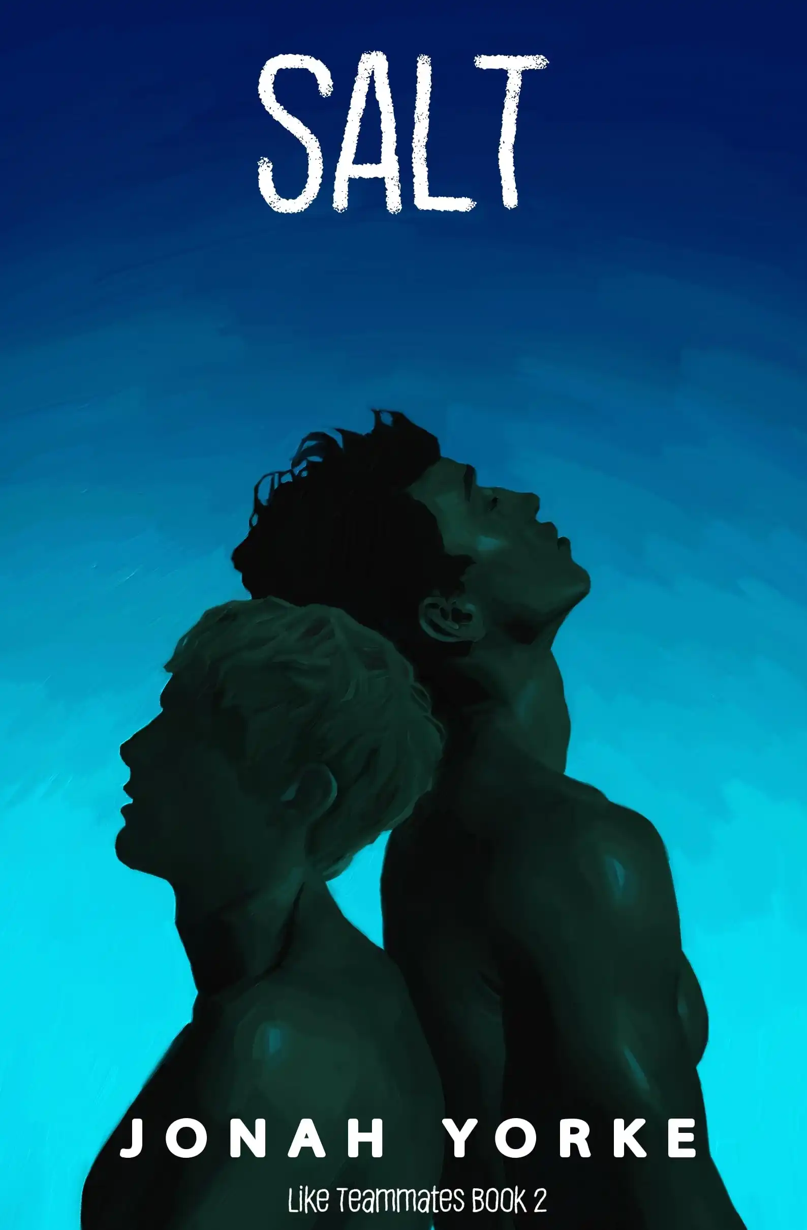 Salt by Jonah Yorke (Paperback)
