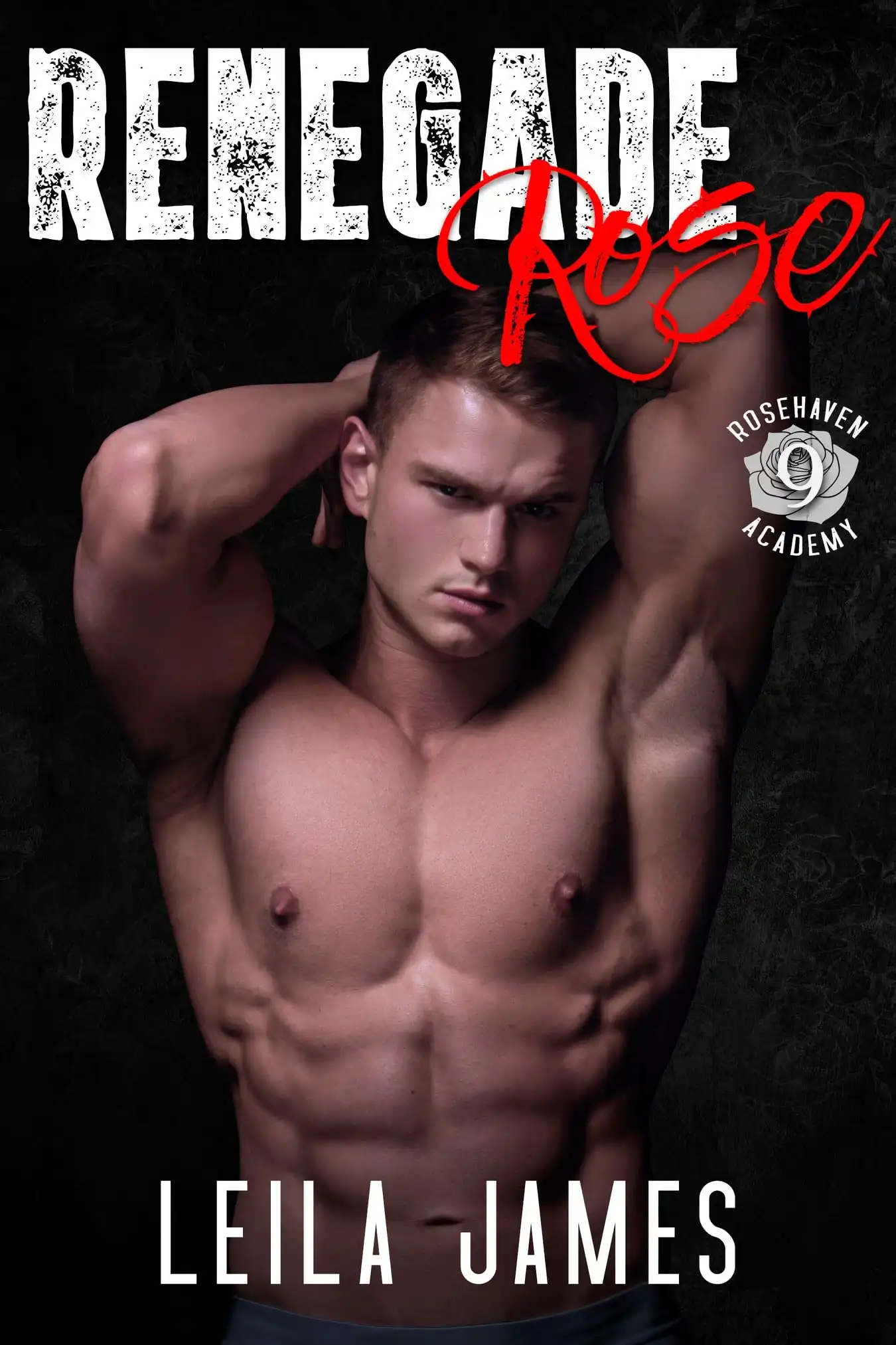 Renegade Rose by Leila James (Paperback)