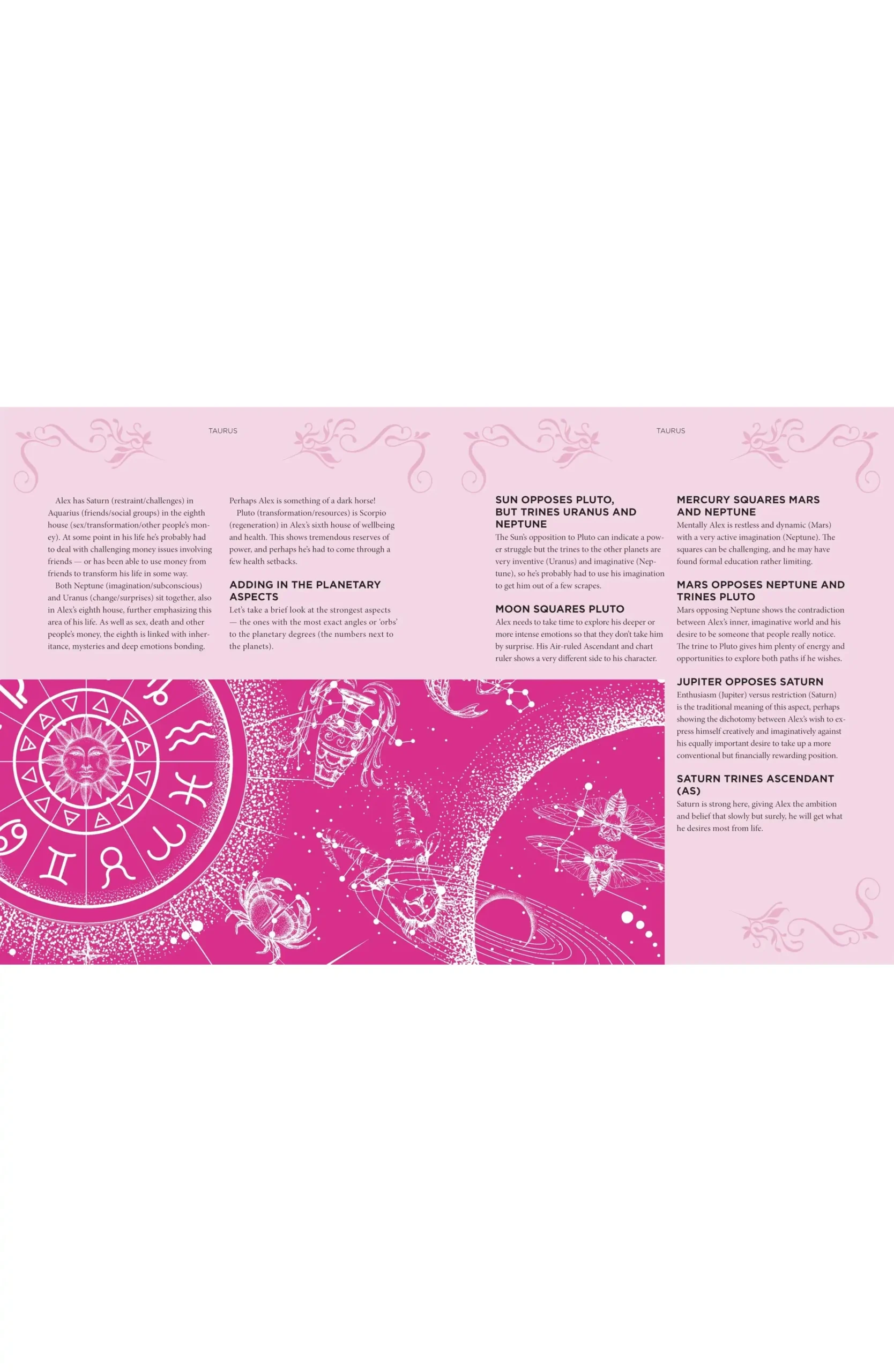 The Book of Astrology: The Future in Your Stars by Marion Williamson (Hardback)