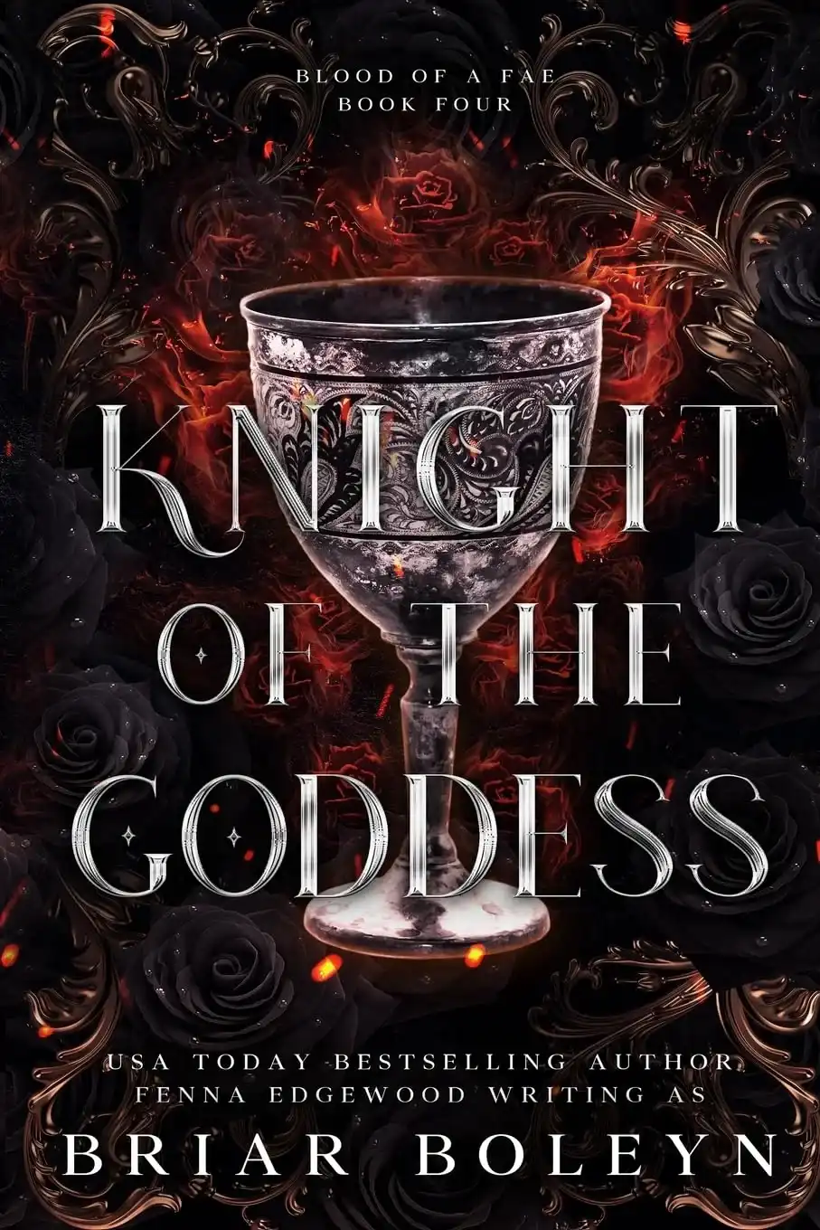 Knight of the Goddess by Briar Boleyn (Paperback)