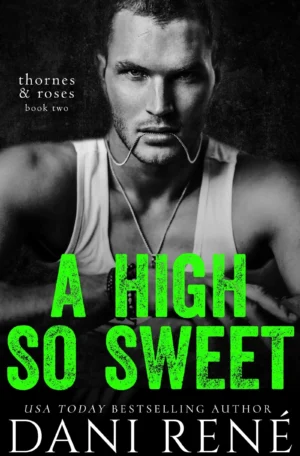 A High So Sweet by Dani René (Paperback)